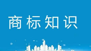 青島商標(biāo)注冊(cè)在個(gè)人和公司名下的區(qū)別