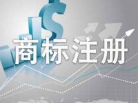 商標(biāo)注冊申請過程中需要注意的問題